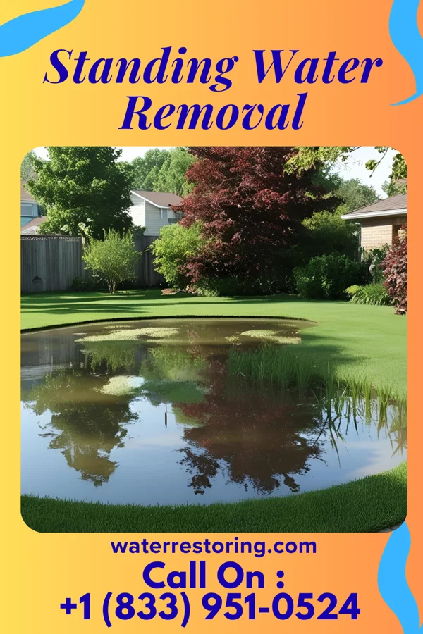 Standing Water Removal in St. James, MD